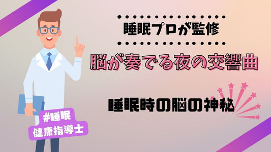脳が奏でる夜の交響曲:睡眠時の脳の神秘