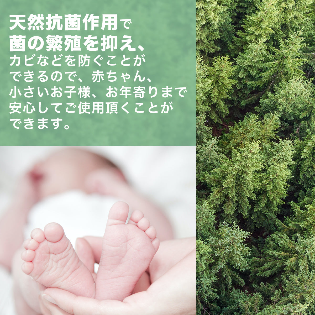 「DreamCat's」SLEEP+ 100%タイ産 ラテックスマットレス 腰痛改善 体圧分散